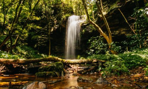 Mount Sheba Rainforest Hotel & Resort